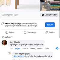 Alev Altunis